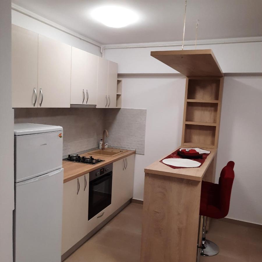 Studio Adela Apartment Iasi Exterior photo