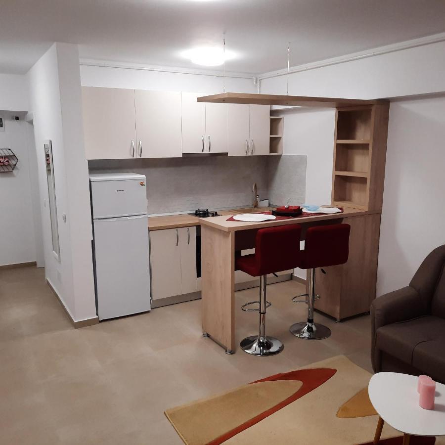 Studio Adela Apartment Iasi Exterior photo