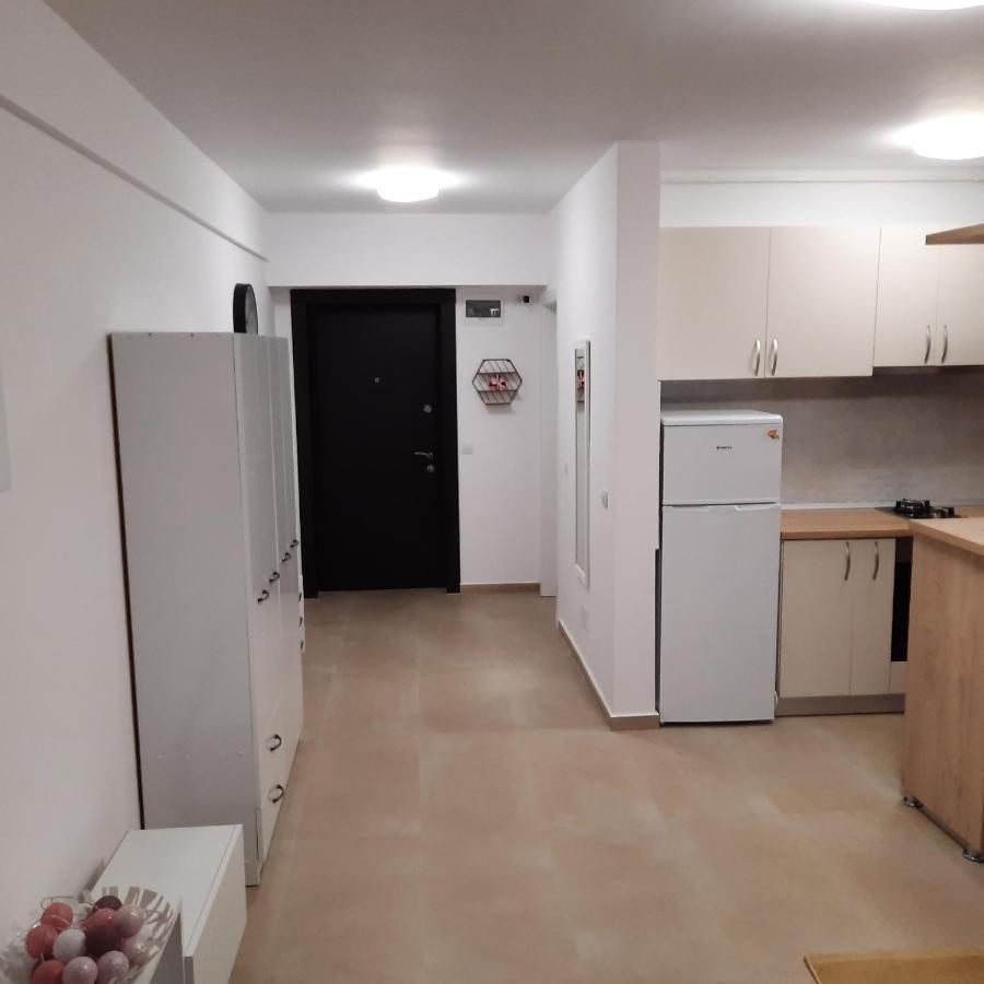 Studio Adela Apartment Iasi Exterior photo