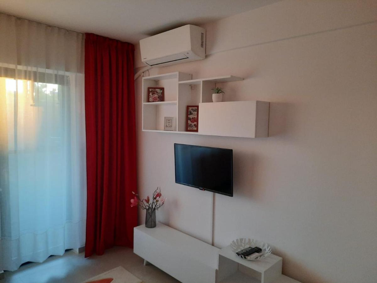 Studio Adela Apartment Iasi Exterior photo